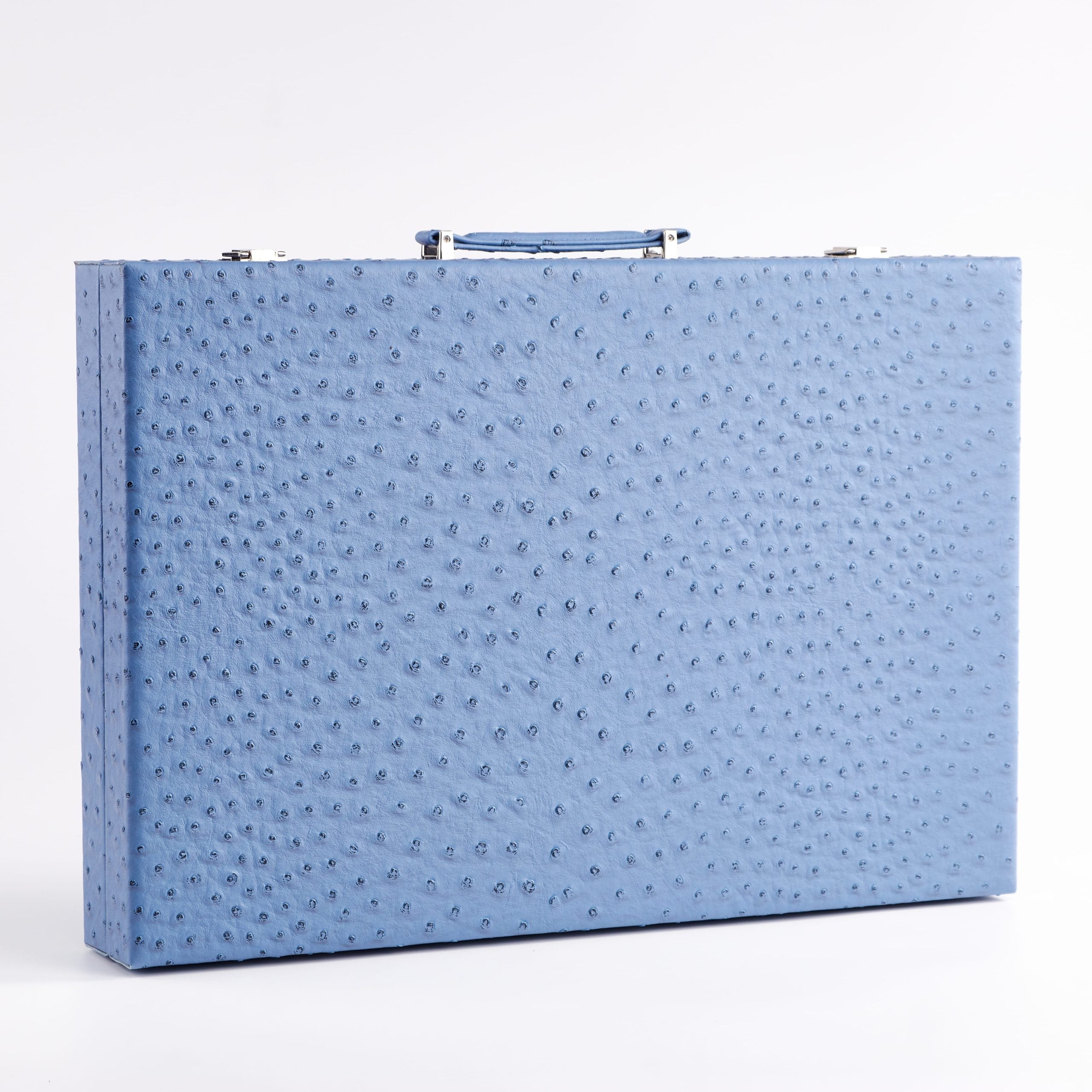 Backgammon Ostrich | Blue w/ orange triangle